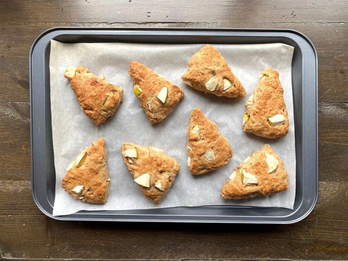 Baked apple scones on a large baking sheet lined with parchment paper.